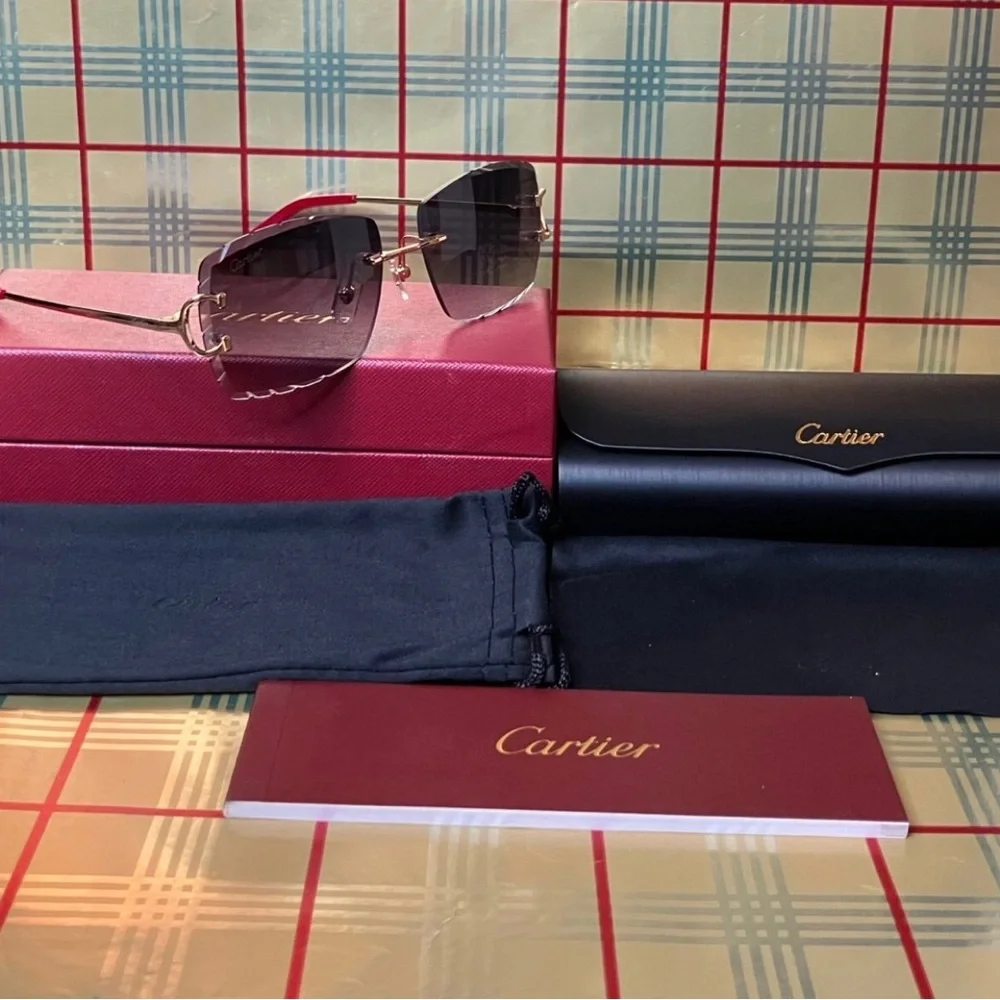 SOLD Cartier Black Big C Unisex Sunglasses - Picture 1 of 4